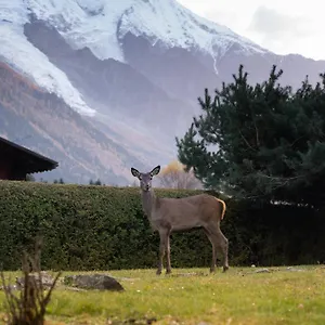  Appartement La Pagode, Vue Mont-blanc Et Jardin Prive